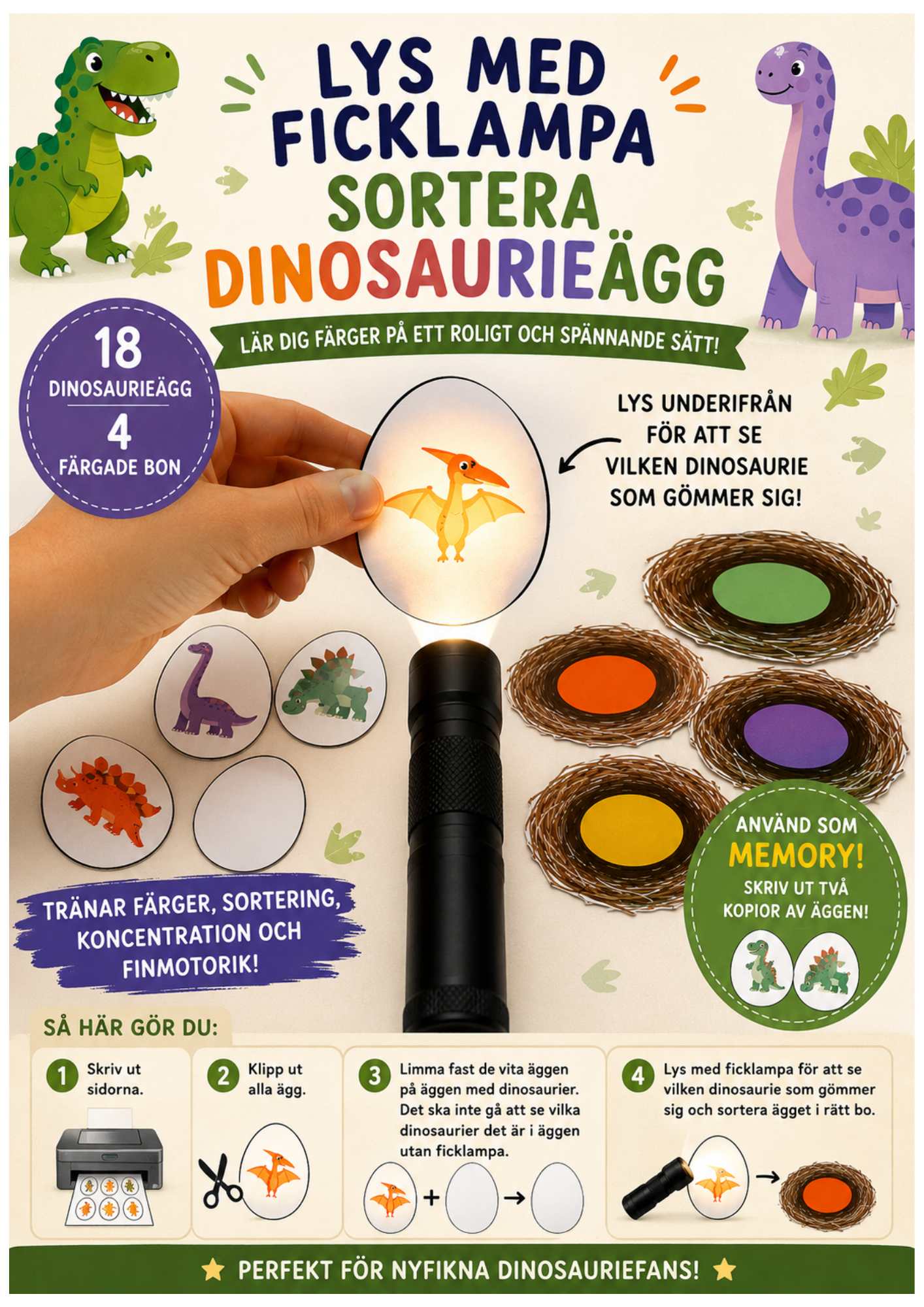 Lys med ficklampa – Sortera dinosaurieägg